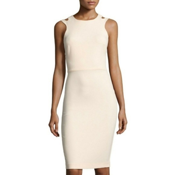 French Connection Sheath Dress w/ Cutouts - Picture 1 of 7